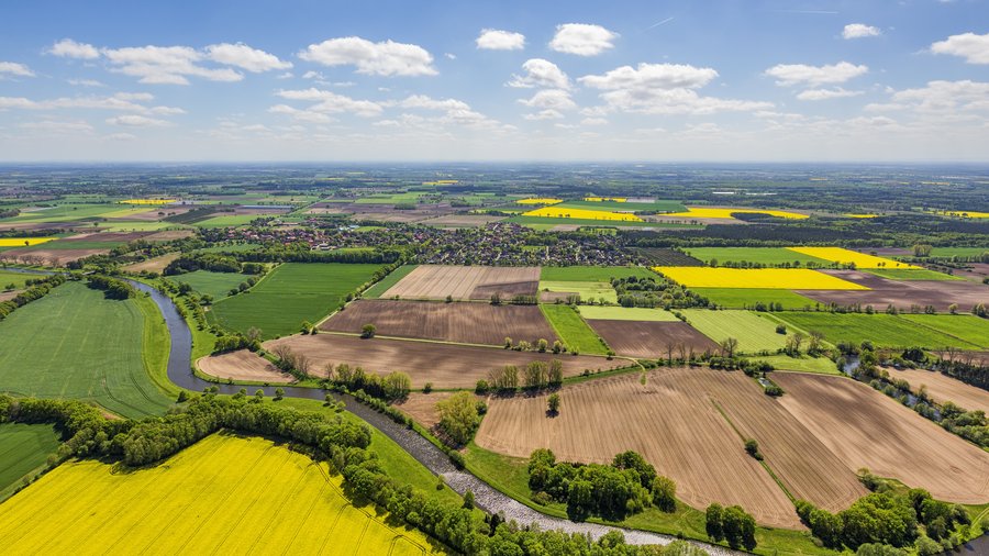 Luftbild einer Agrarlandschaft bei sonnigem Wetter mit gelben Rapsfeldern als Hingucker.