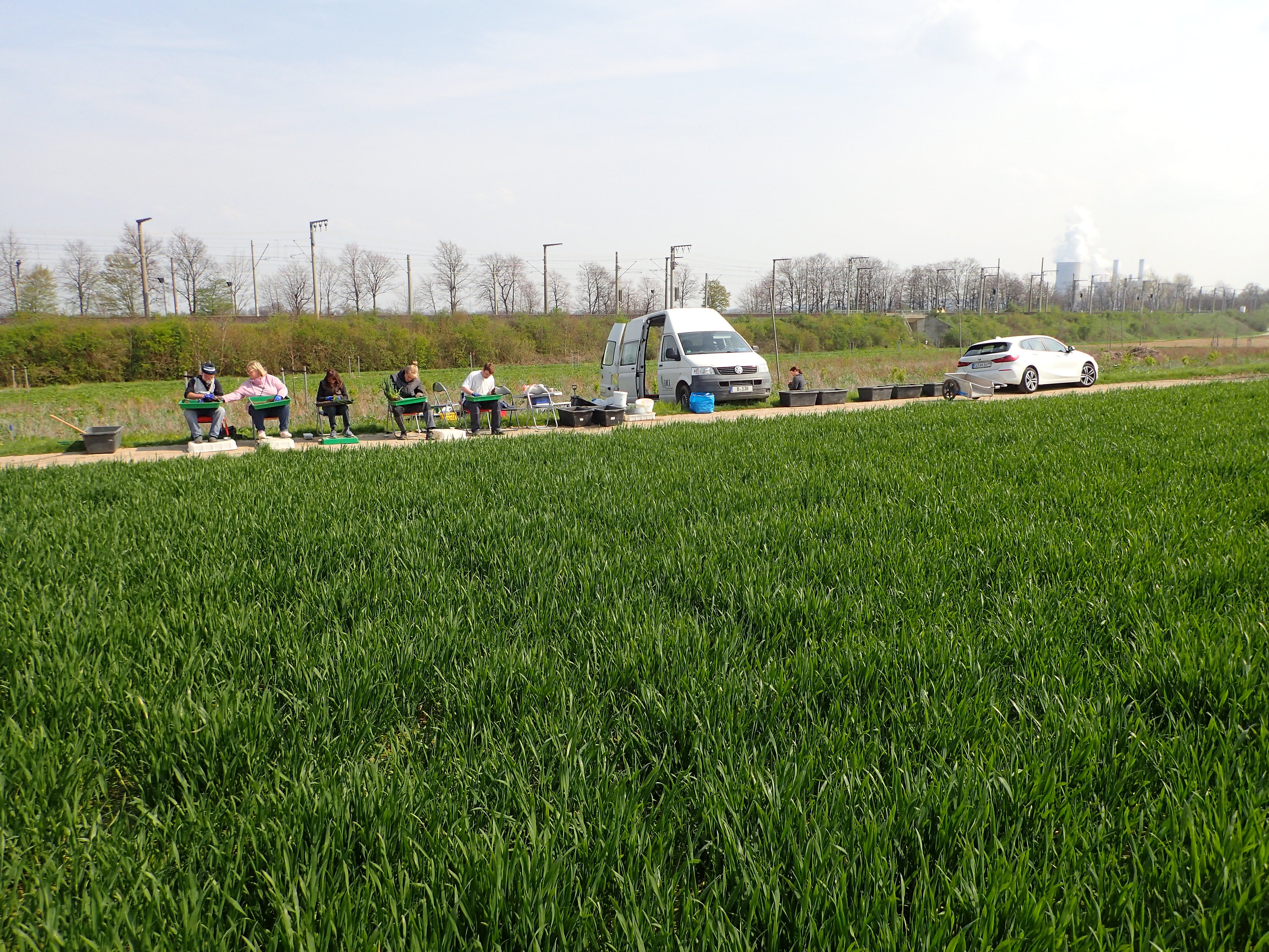 Regenwurm Handauslese am Feldrand.