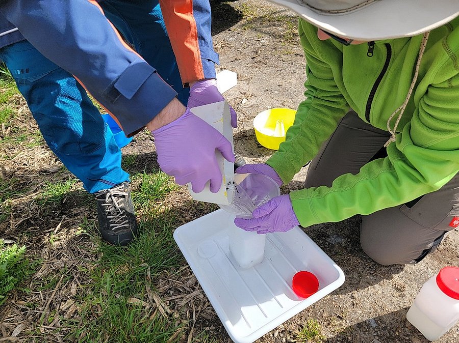 Hände mit Handschuhen über einer Plastikschale