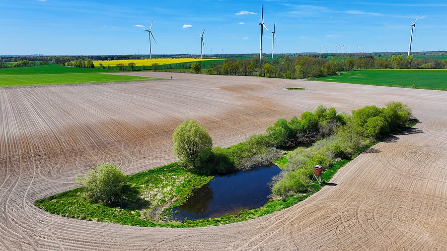 Blick von oben auf ein Kleingewässer im frisch geeggten Feld