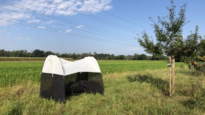 Malais trap in meadow orchard 