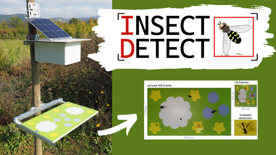 DIY Insekten-Kamerafalle in wetterfestem Gehäuse mit Energieversorgung über ein Solarpanel.