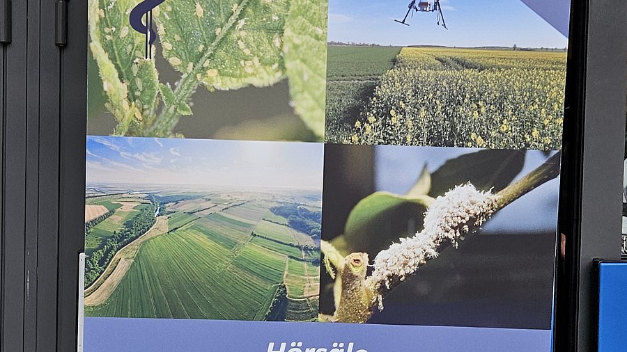 Flyer der Deutschen Pflanzenschutztagung