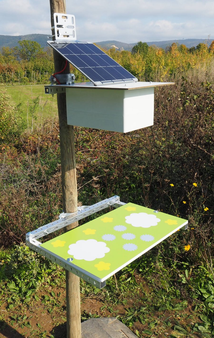 Automatic insect camara trap