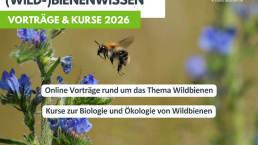 Hinweis auf Vortragsreihe