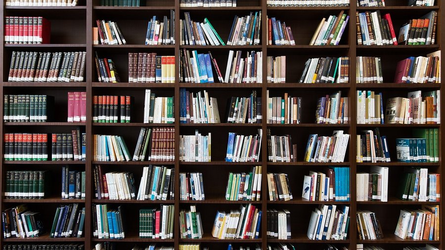 Foto eine deckenhohen Bücherwand mit hunderten von Büchern