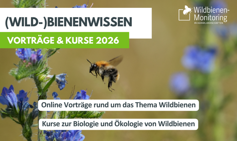 Hinweis auf Vortragsreihe vor Hintergrundbild