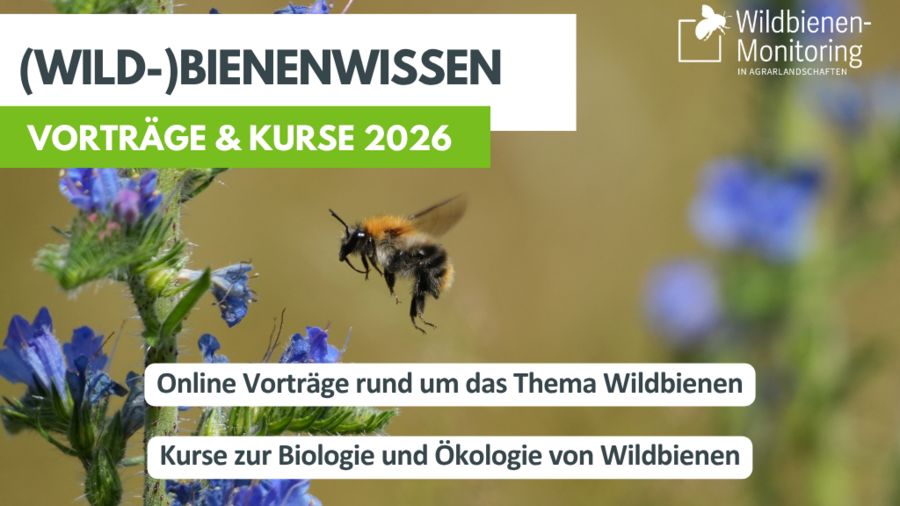 Hinweis auf Vortragsreihe vor Hintergrundbild