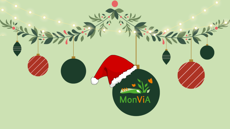 Abbildung einer weihnachtlichen Girlande mit Weihnachtskugeln in grün und rot. Eine Kugel trägt das MonViA Logo und eine Weihnachtsmütze