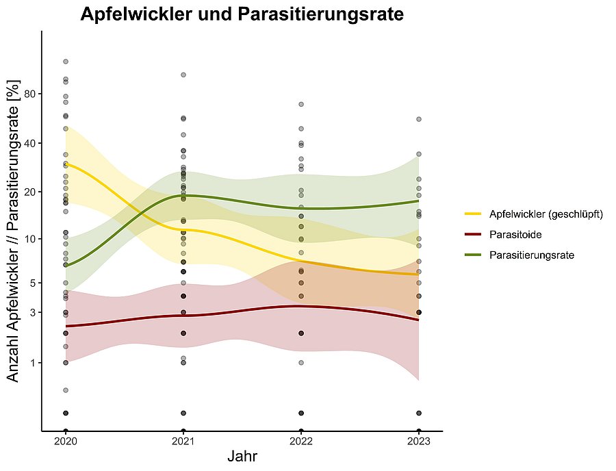Grafik zur Apfelwickler Parasierungsrate