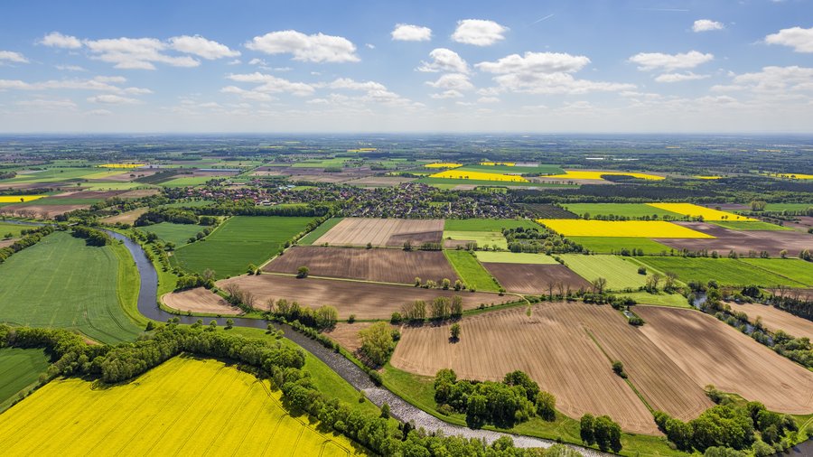 Luftbild einer Agrarlandschaft bei sonnigem Wetter mit gelben Rapsfeldern als Hingucker.