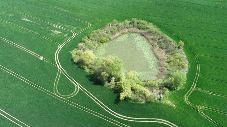 Blick von oben auf einen Soll mit Uferbewuchs im Feld