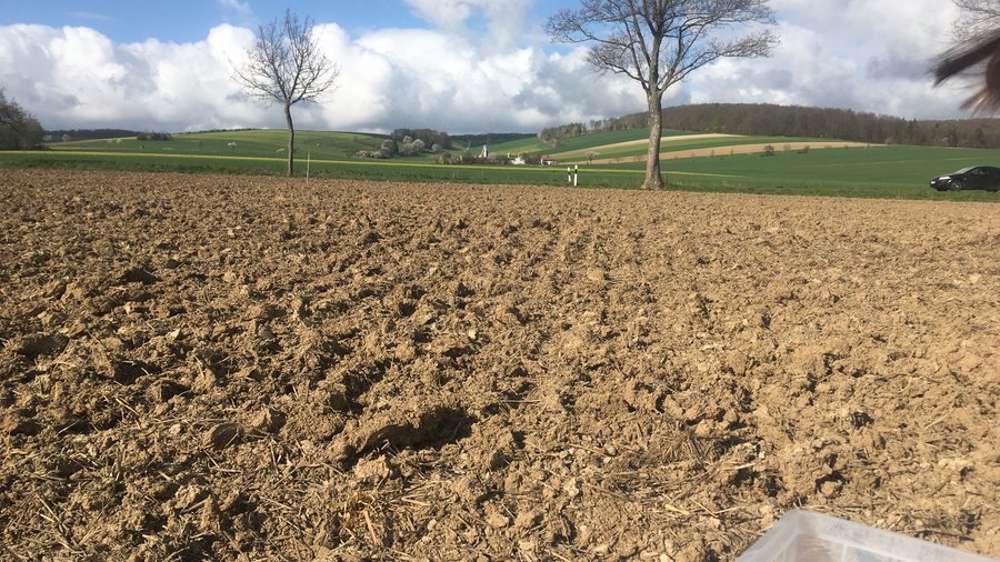 Das Foto zeigt einen offenen Ackerboden und im Hintergrund weitere Felder mit Bäumen und den Himmel