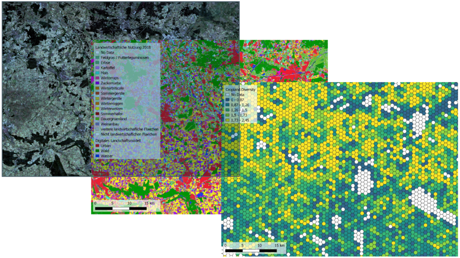 Links: Sentinel-2 Satellitenbild einer Region südlich von Braunschweig, Niedersachsen; Mitte: Kartierung der Hauptfruchtarten auf Basis von Copernicus-Satelliten-Daten; rechts: beispielhafte Darstellung der "Anbauvielfalt" für 1 km² Hexagone.  Die Abbildung zeigt anhand eines Beispiels den Ablauf von der Aufnahme eines Satellitenbildes bis zur Berechnung und Darstellung eines (Teil-) Indikators der Lebensraumvielfalt auf. Die Anbauvielfalt ist ein Maß dafür, wie viele unterschiedliche Fruchtarten in welcher Verteilung innerhalb eines Landschaftsausschnitts (hier: Hexagone) vorkommen. Je höher der Wert, desto höher ist die Anbauvielfalt in der Hexagon-Zelle. Eine hohe Diversität des Anbaus hat im Allgemeinen eine positive Auswirkung auf die Lebensraumvielfalt und damit die biologische Vielfalt in der Agrarlandschaft.