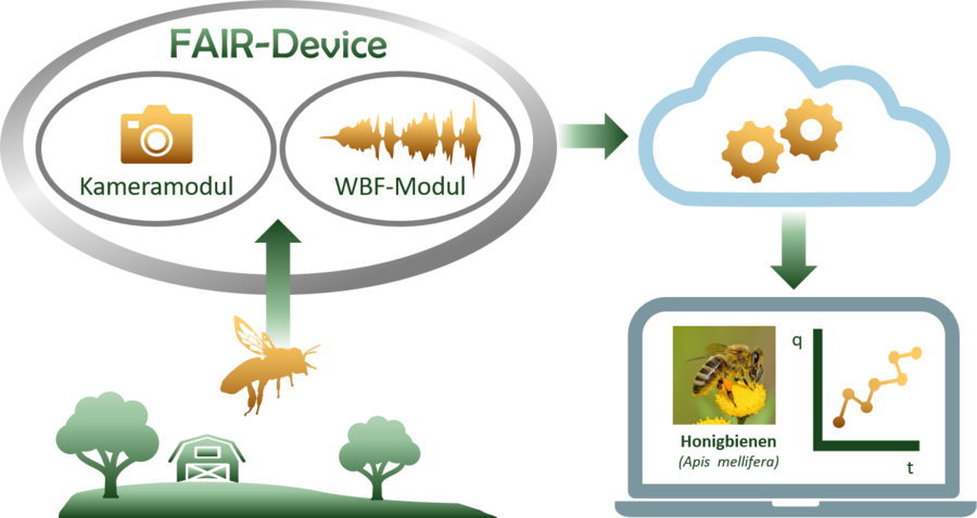 Schematische Abbildung der Funktionsweise des FAIR Feldgeräts. 