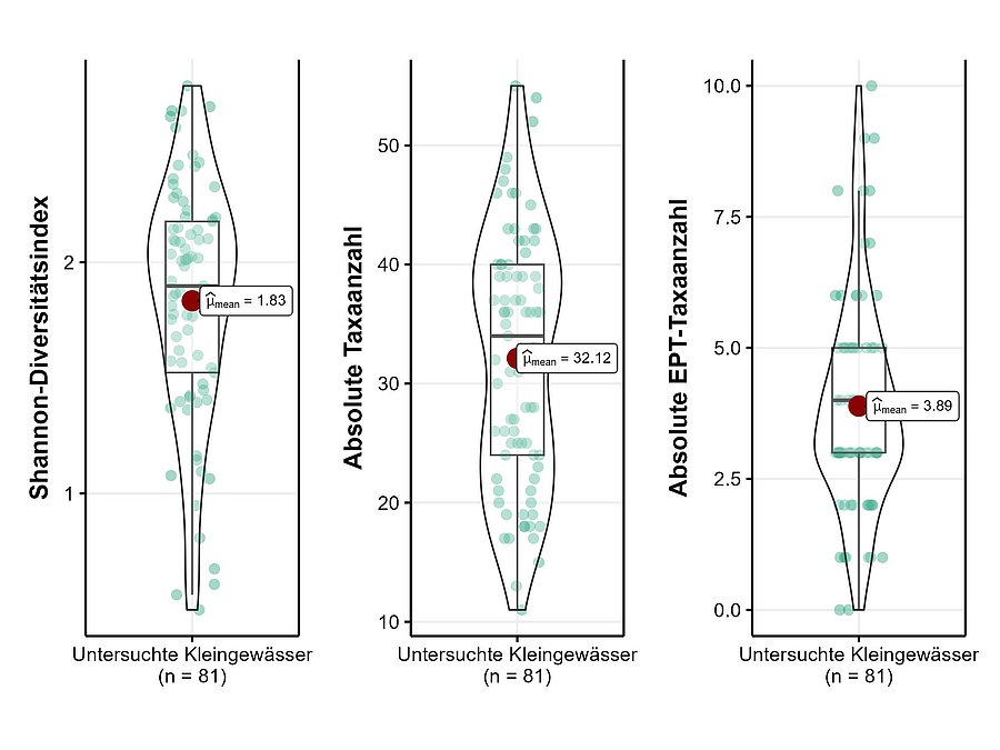 Grafik zur Shannon-Diversität, Anzahl an Taxa und Anzahl an EPT-Taxa