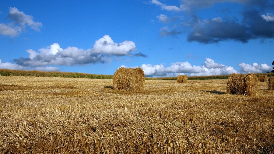 Strohballen liegt auf gelbem Acker bei blauem Himmel.