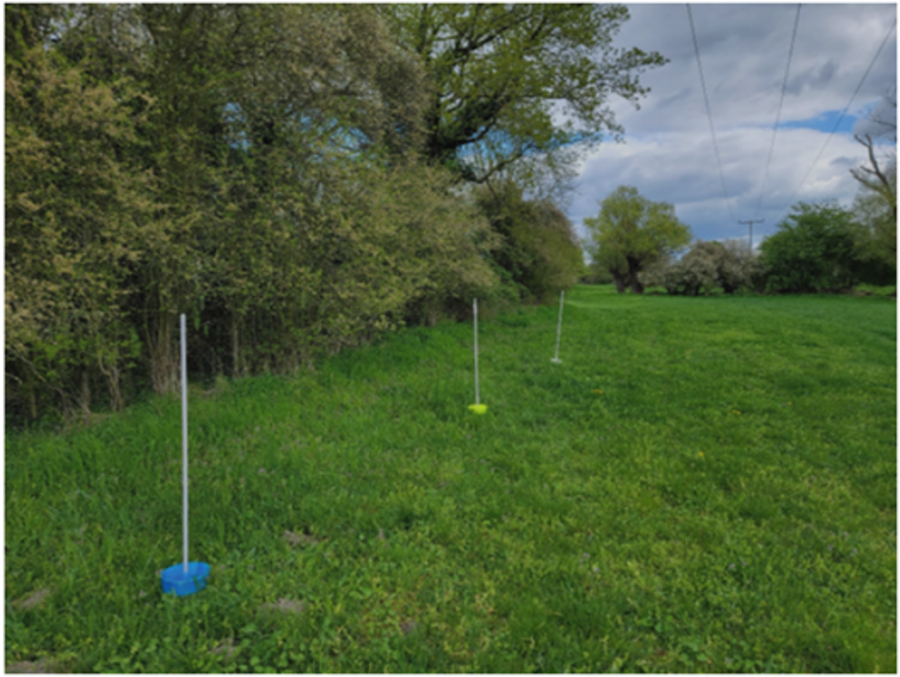 links Hecke, rechts Wies mit Farbschalen