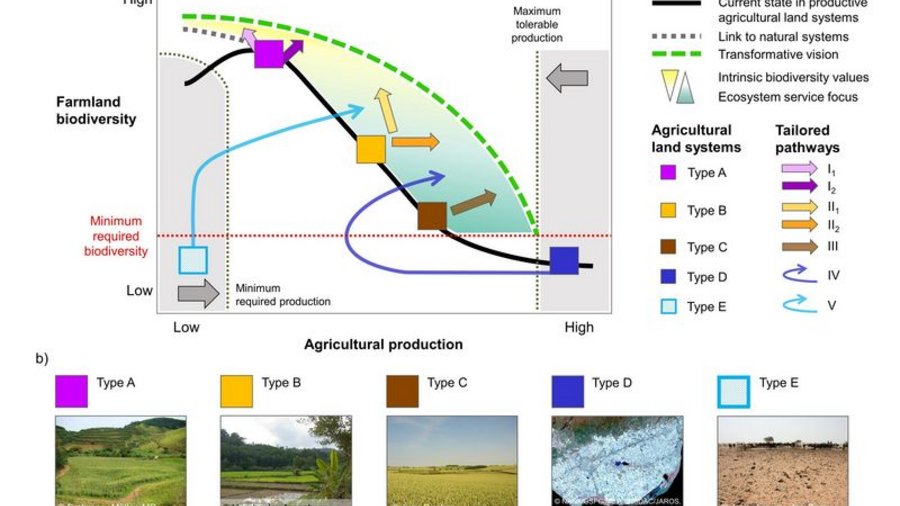 Schematische Abbildung verschiedener agrarökologischer Transformationspfade für die Landwirtschaft auf einer x und y-Achse.