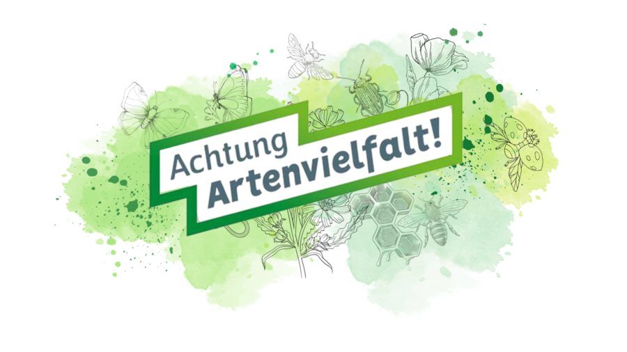 Grüne Zeichnungen verschiedener Insekten und Pflanzen mit dem Slogan "Achtung Artenvielfalt" in der Mitte.